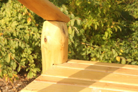 Talud/platform 150cm met glijbaan gemaakt van RVS en Robinia hout. 