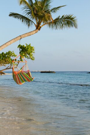 Hangstoel Lounger Domingo Coral