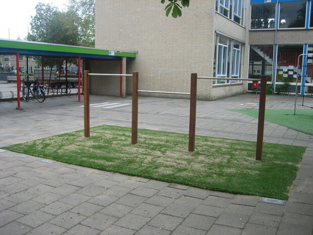 Duikelrek Hardhout RVS Openbaar Trio - Foto geplaats op schoolplein