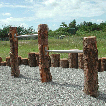 Duikel stang roest vrij staal vast 80 cm